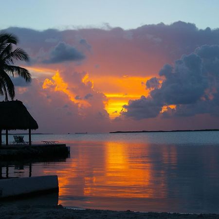 Rock Reef Resort Key Largo Kültér fotó