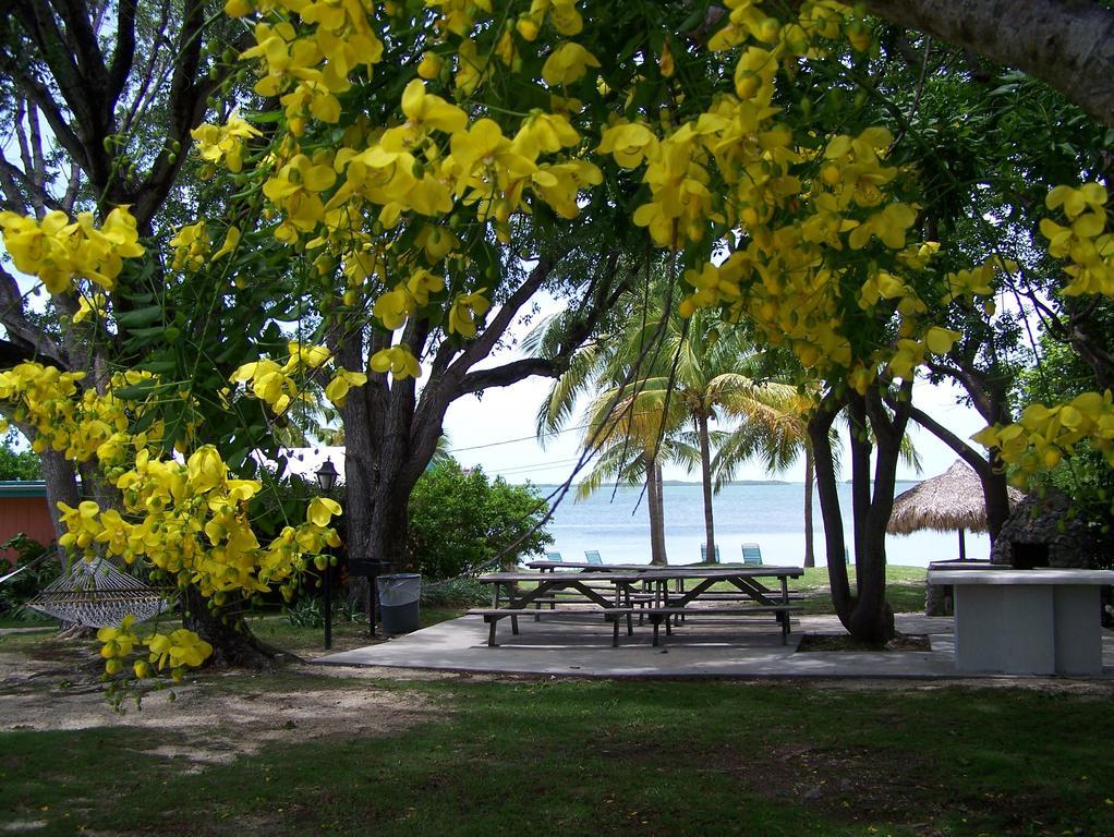 Rock Reef Resort Key Largo Kültér fotó