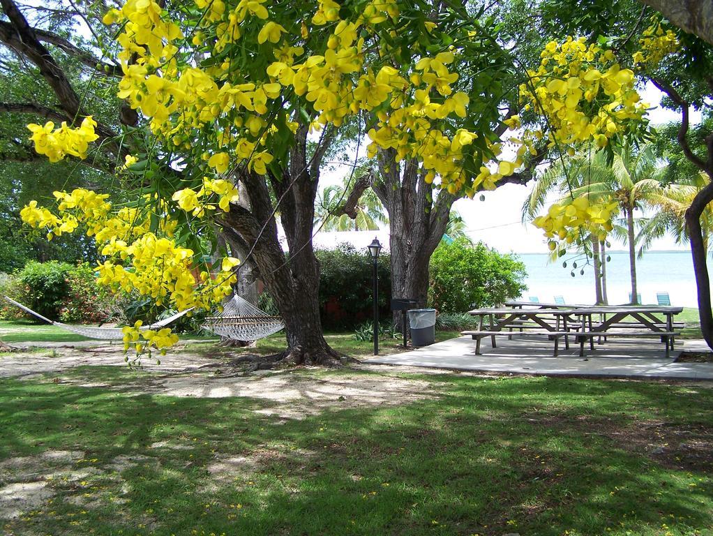 Rock Reef Resort Key Largo Kültér fotó