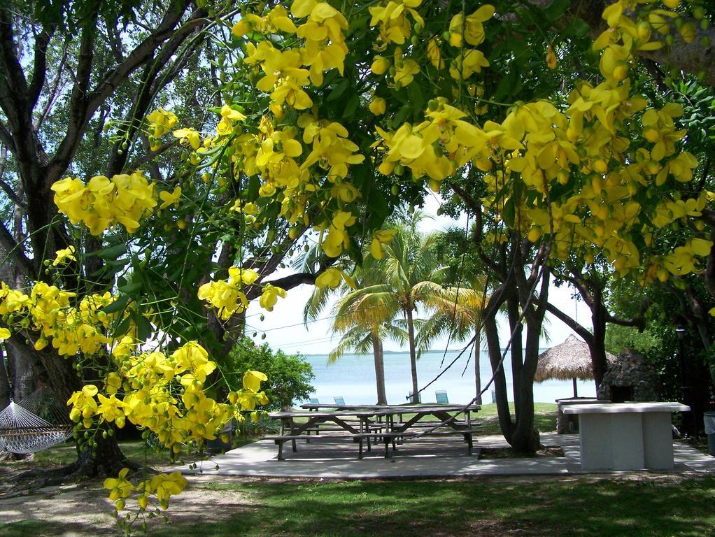 Rock Reef Resort Key Largo Kültér fotó